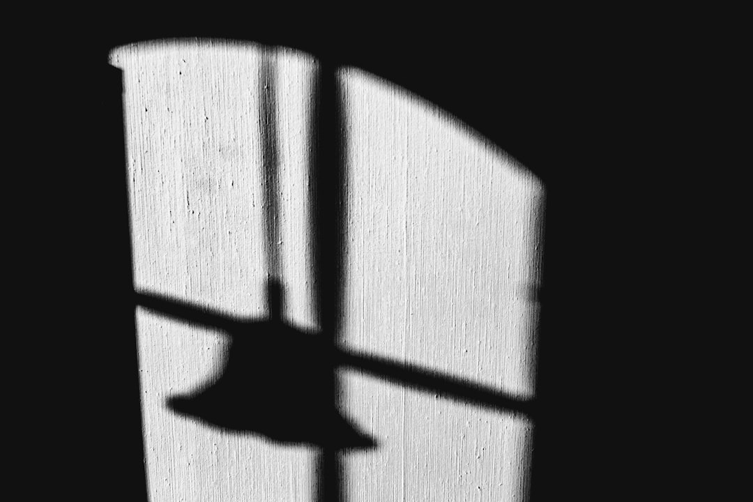 silhouette of a bird on a window