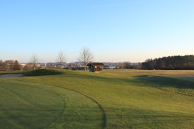A tranquil landscape featuring a wide expanse of green grass with gentle hills and a small wooden shelter. Bare trees are scattered across the field, and a city skyline is visible in the distance under a clear blue sky.
