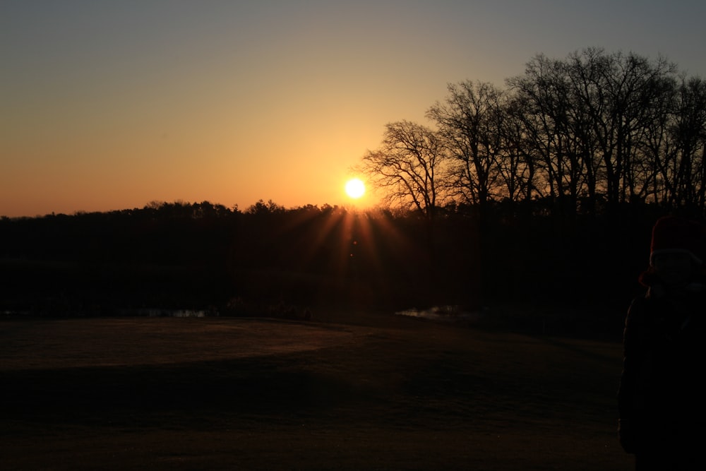 silhouette of trees during sunset