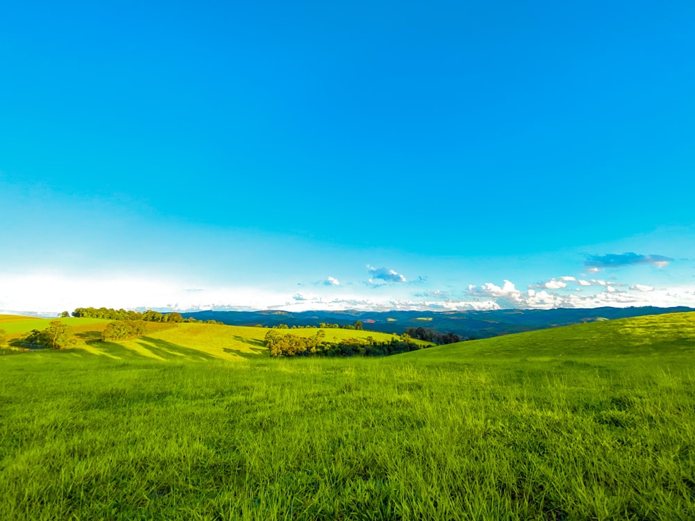 green grass field under blue sky during daytime