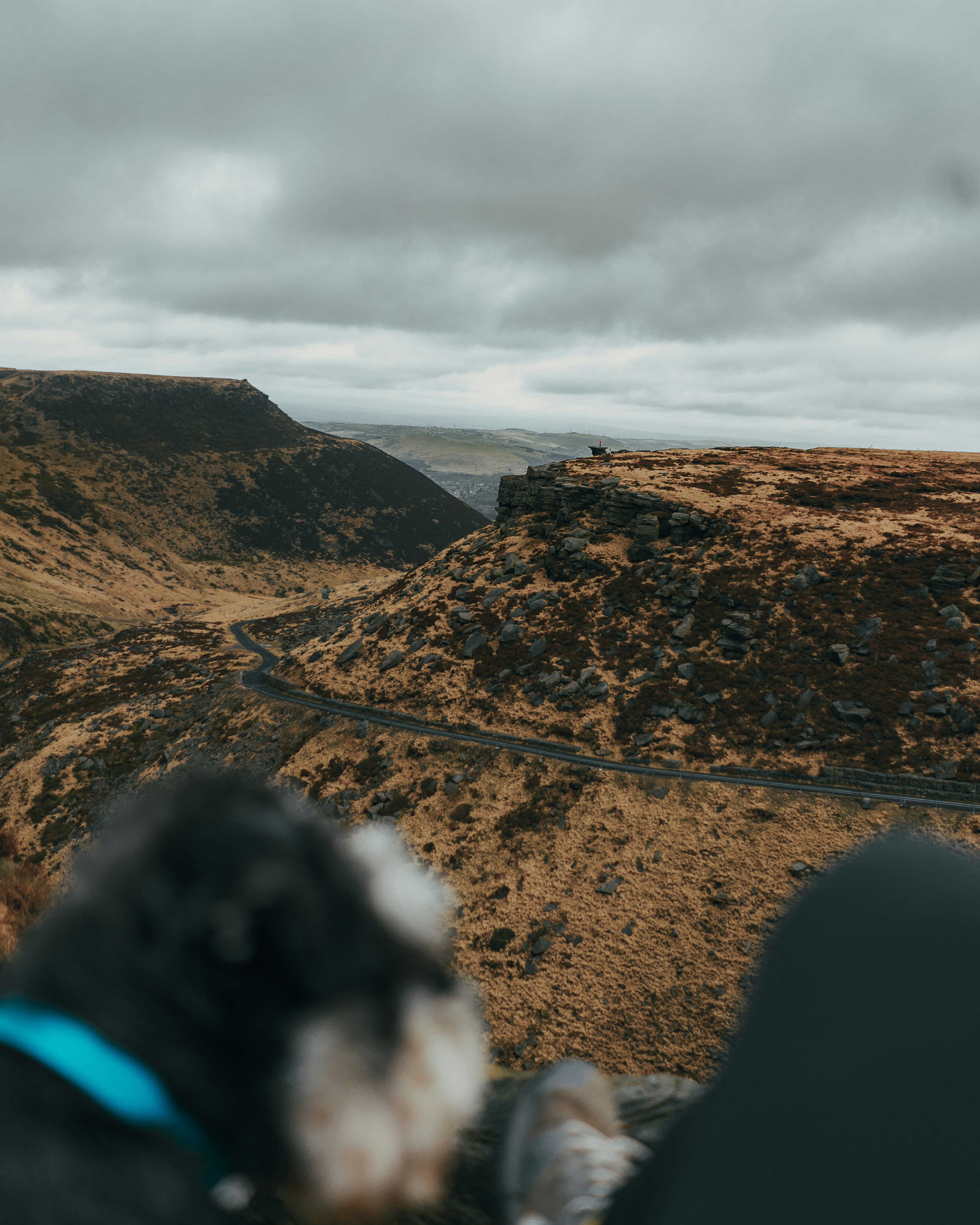 gray computer monitor