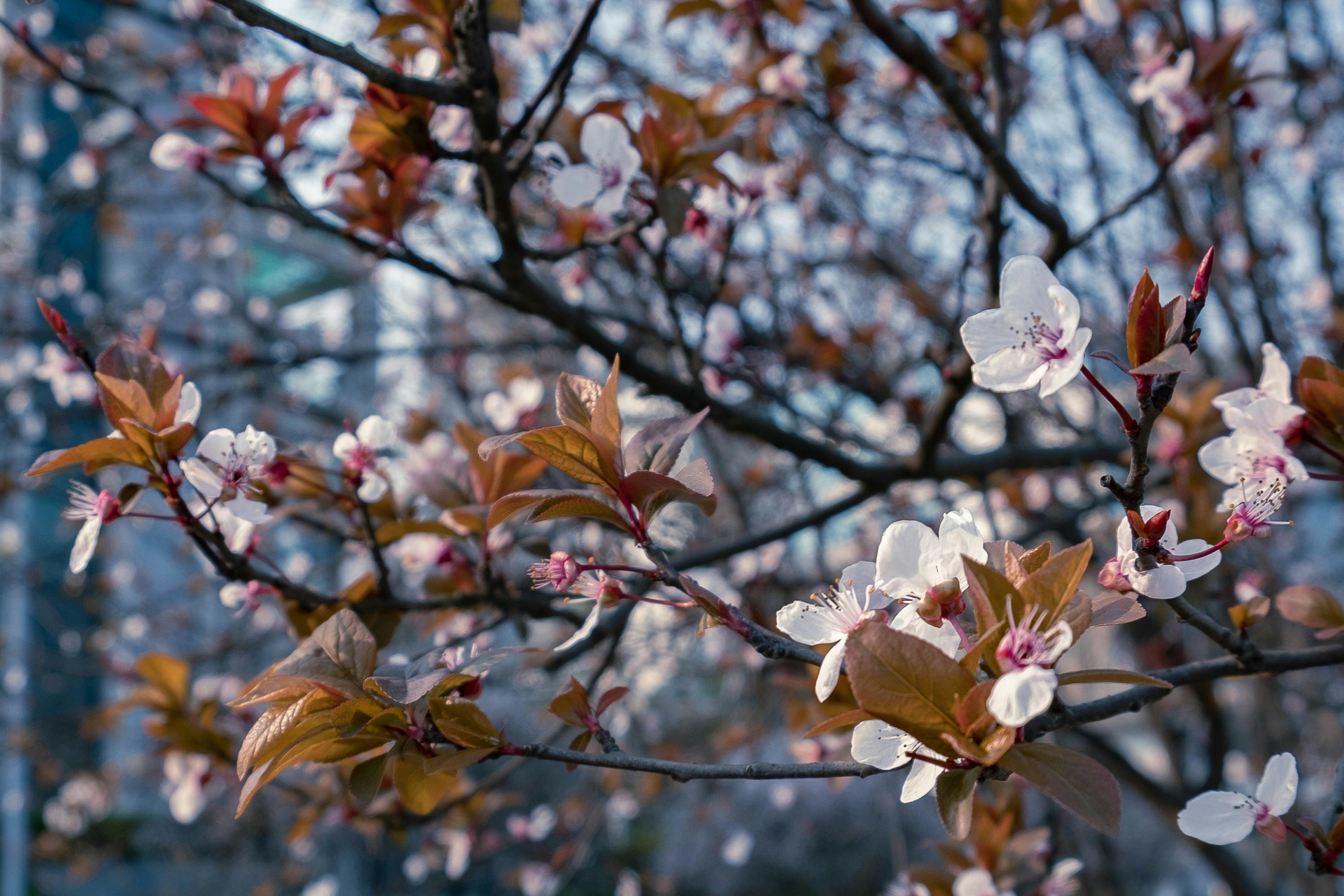 Photo by peiijiaa