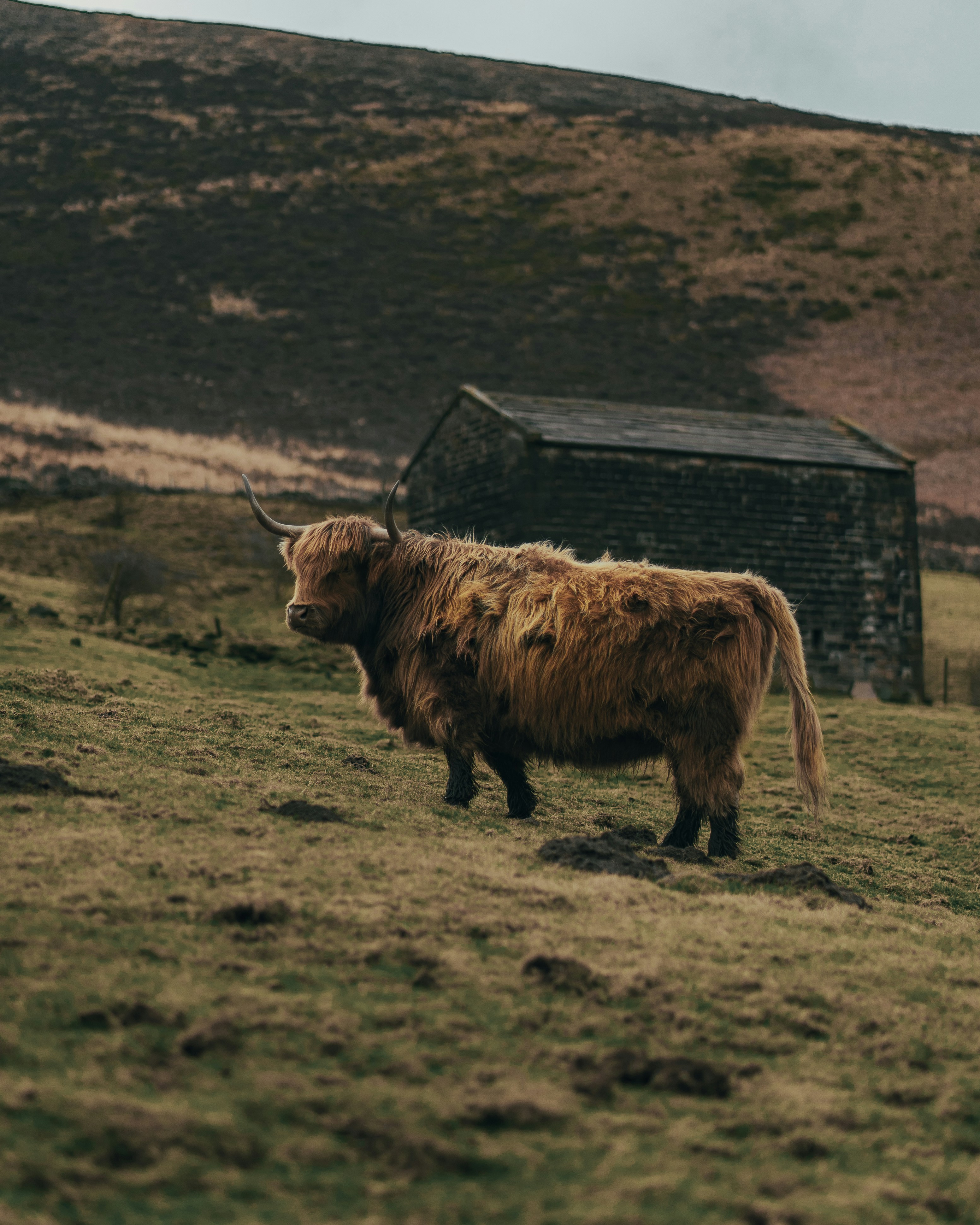 Photo by samuelgirven