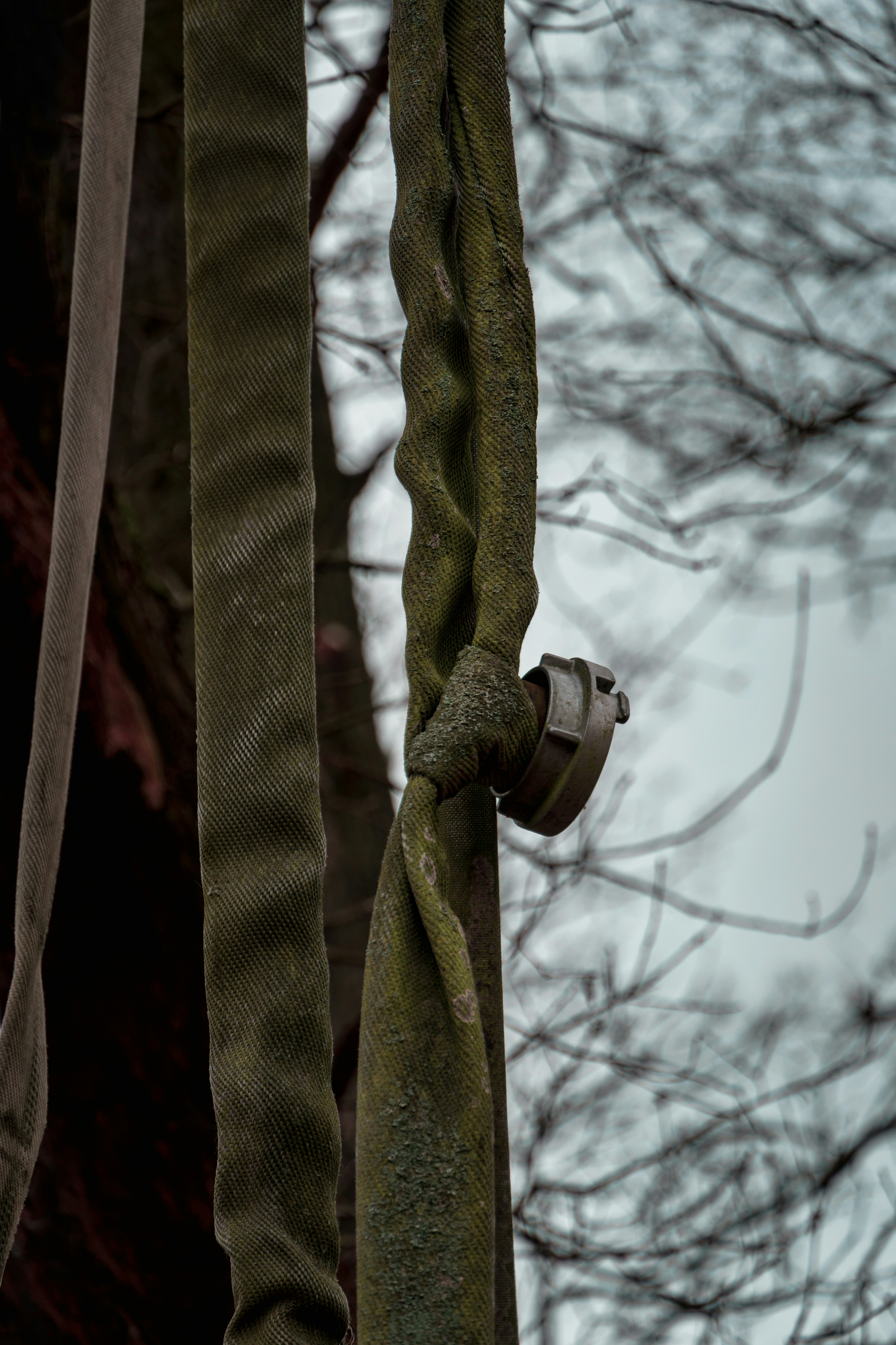 woman wearing yellow long-sleeved dress under white clouds and blue sky during daytime