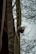 A close-up view of an old, green hose or strap with a metal fitting attached, appearing worn and textured. The background is a blurry image of bare tree branches set against a cloudy sky.