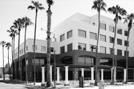 A modern multi-story building with large rectangular windows is surrounded by tall palm trees. The structure combines elements of both contemporary and architectural styles, featuring arched windows on the ground floor. The area appears to be well-maintained with clean lines and a prominent sidewalk.
