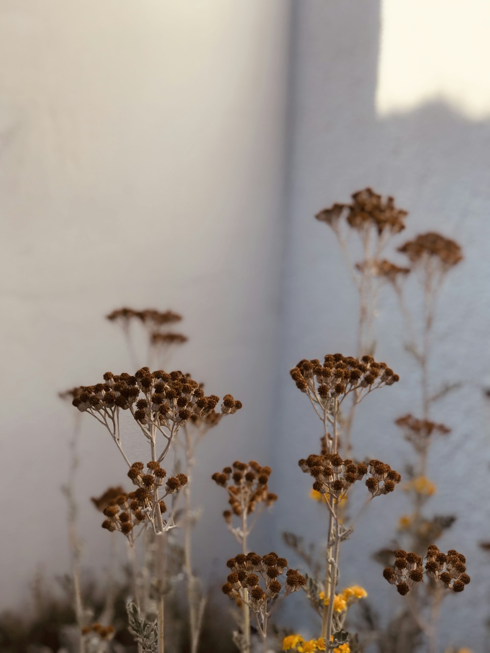 white and brown floral decor