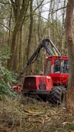 Forest Monitoring