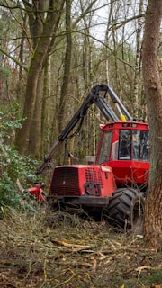 Forest Monitoring