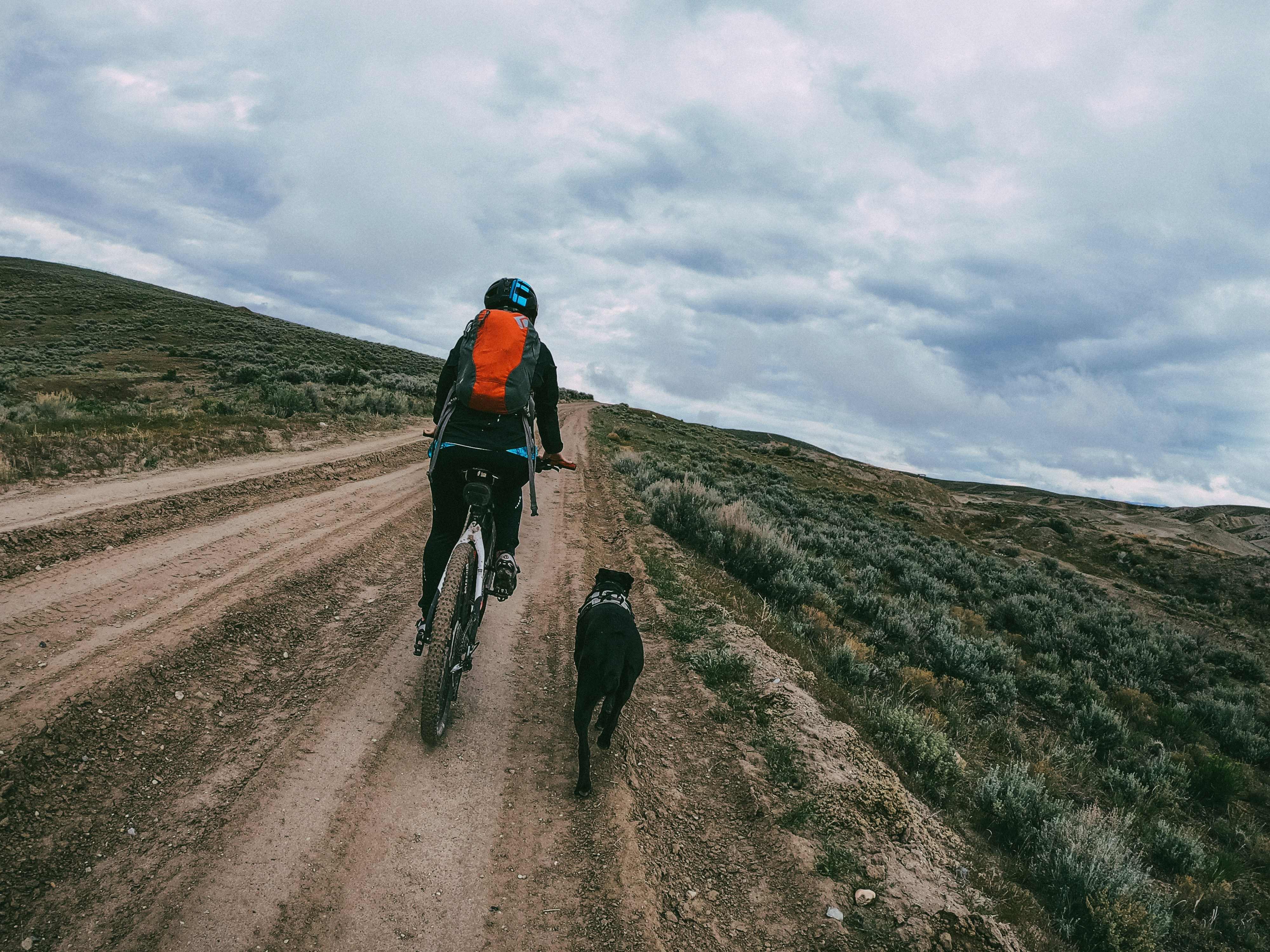 man in black jacket riding bicycle on road during daytime