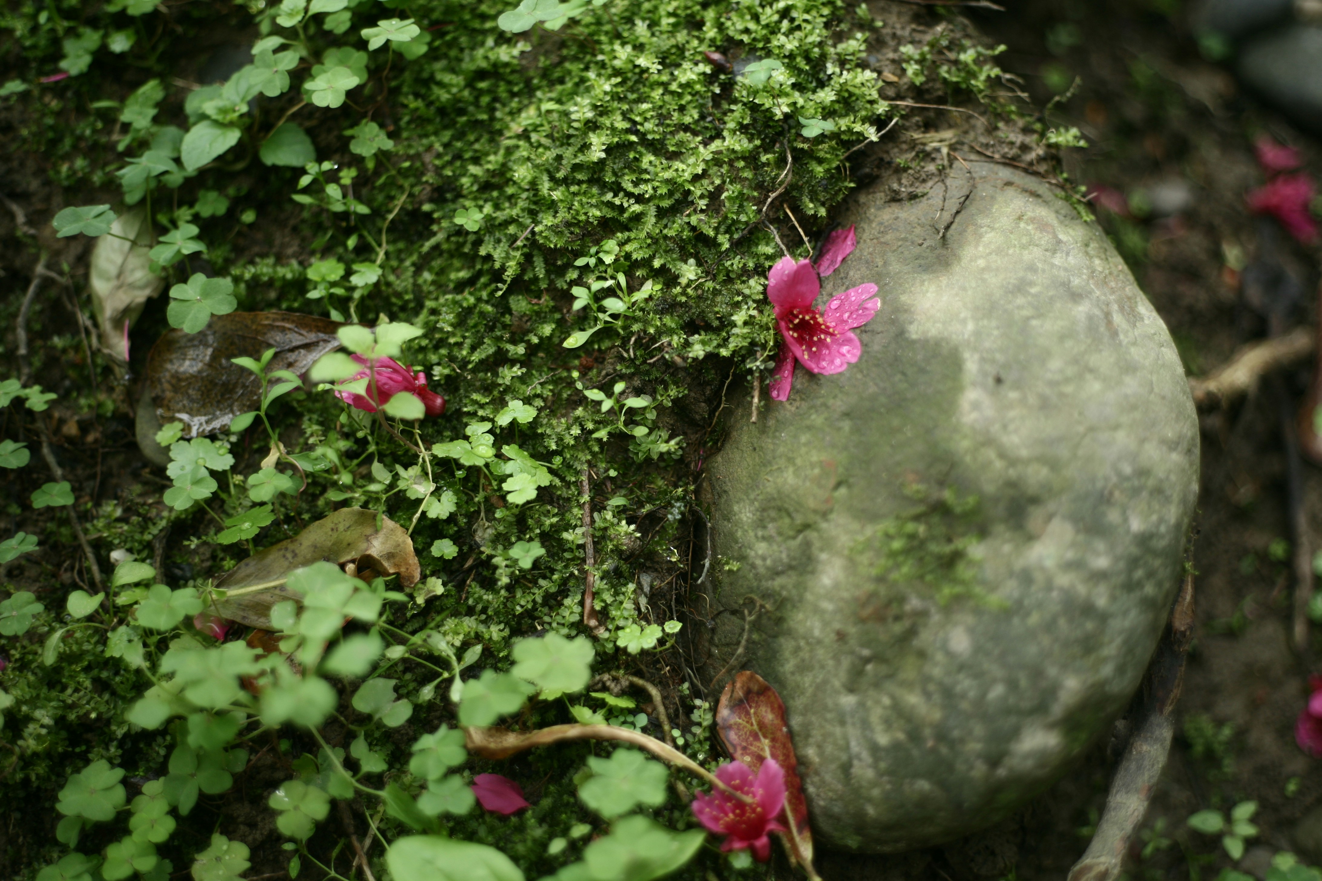 Photo by mclee