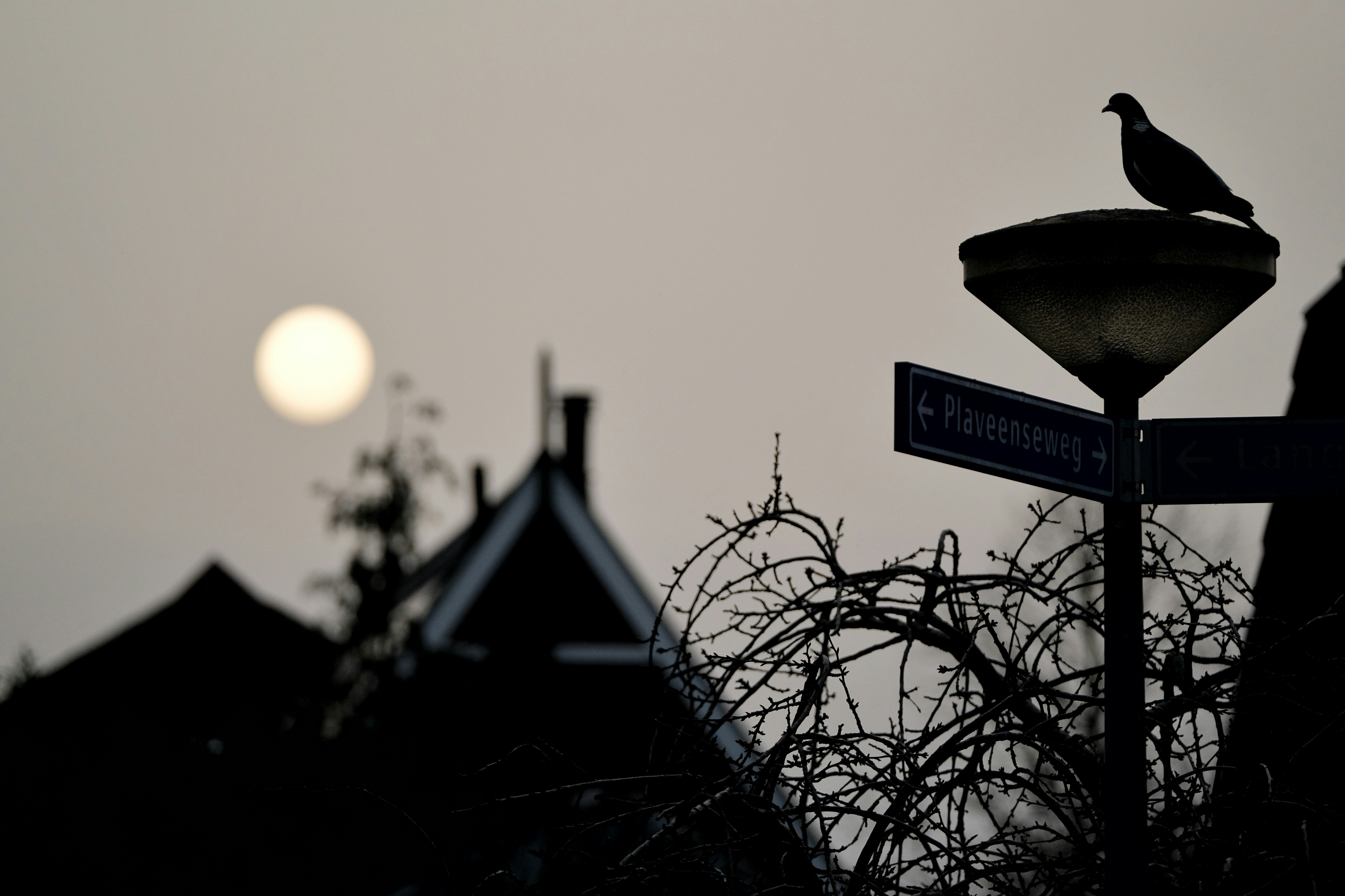 black street light during sunset