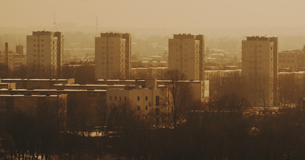 city skyline under white sky during daytime