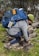 A person kneels on rocky terrain surrounded by greenery, adjusting their hiking boots. They are equipped with a large blue backpack that includes various outdoor gear such as a metal mug and a rolled-up mat. The person is wearing a green cap, a gray long-sleeve top, and blue pants.