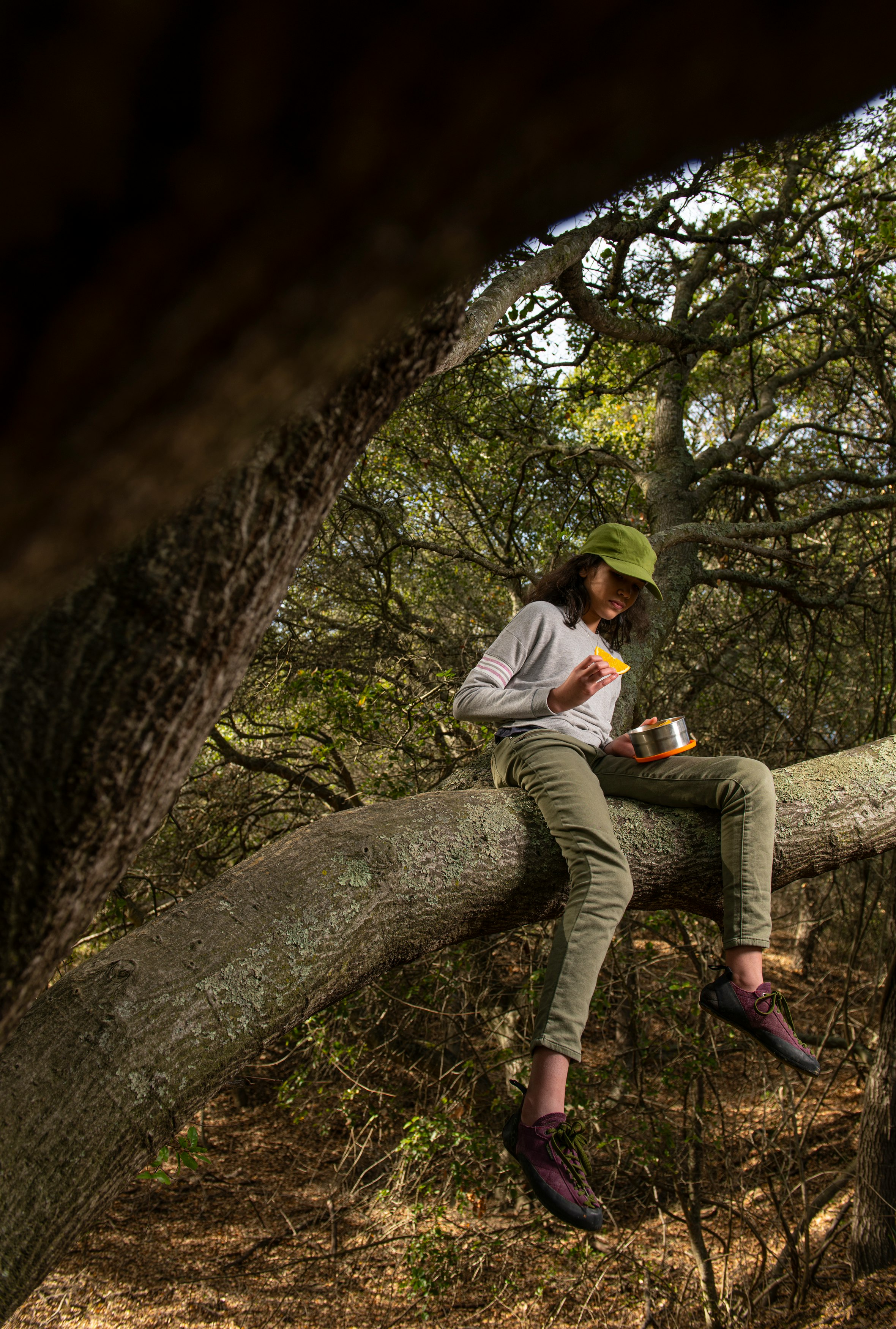 man in white long sleeve shirt sitting on tree branch