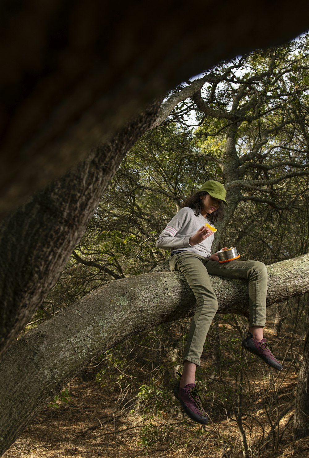 man in white long sleeve shirt sitting on tree branch