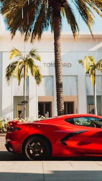 A sleek red sports car is parked on a street under the shade of tall palm trees. The building in the background has a luxury store with large glass windows and a prominent brand name displayed over the entrance. The scene evokes an upscale and glamorous atmosphere.