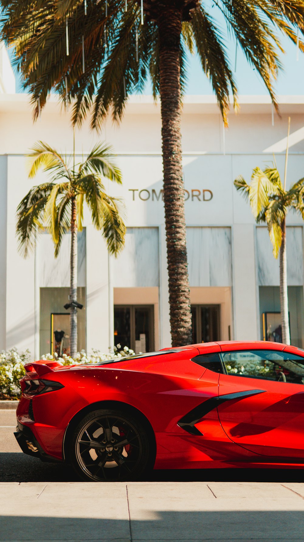 Ferrari 458 Italia rouge garée près d’un palmier