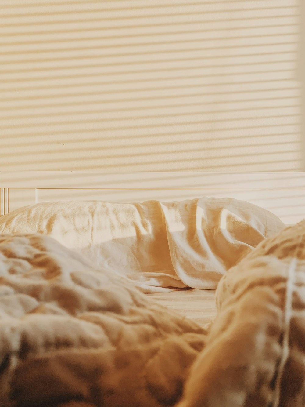 white and brown blanket near white window blinds