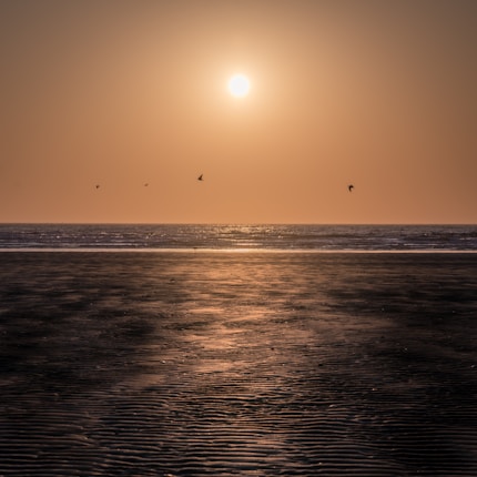 The image portrays a serene beach scene during sunset, with the sun low on the horizon casting a golden glow over the calm ocean. The sandy shoreline is visible in the foreground, characterized by gentle ripples. A few birds are seen flying across the sky, adding movement to the tranquil atmosphere.