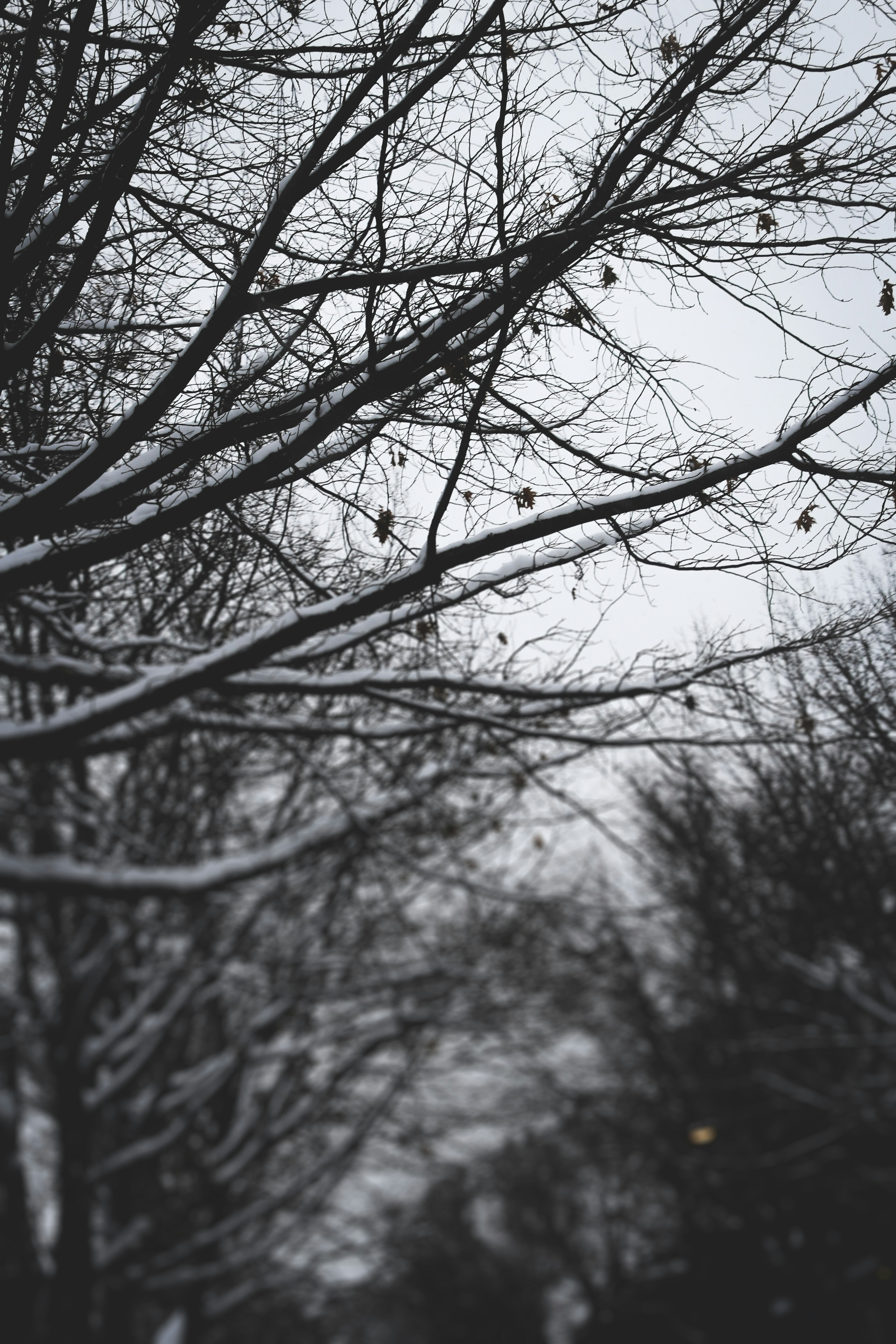 Beacons banner for @ld