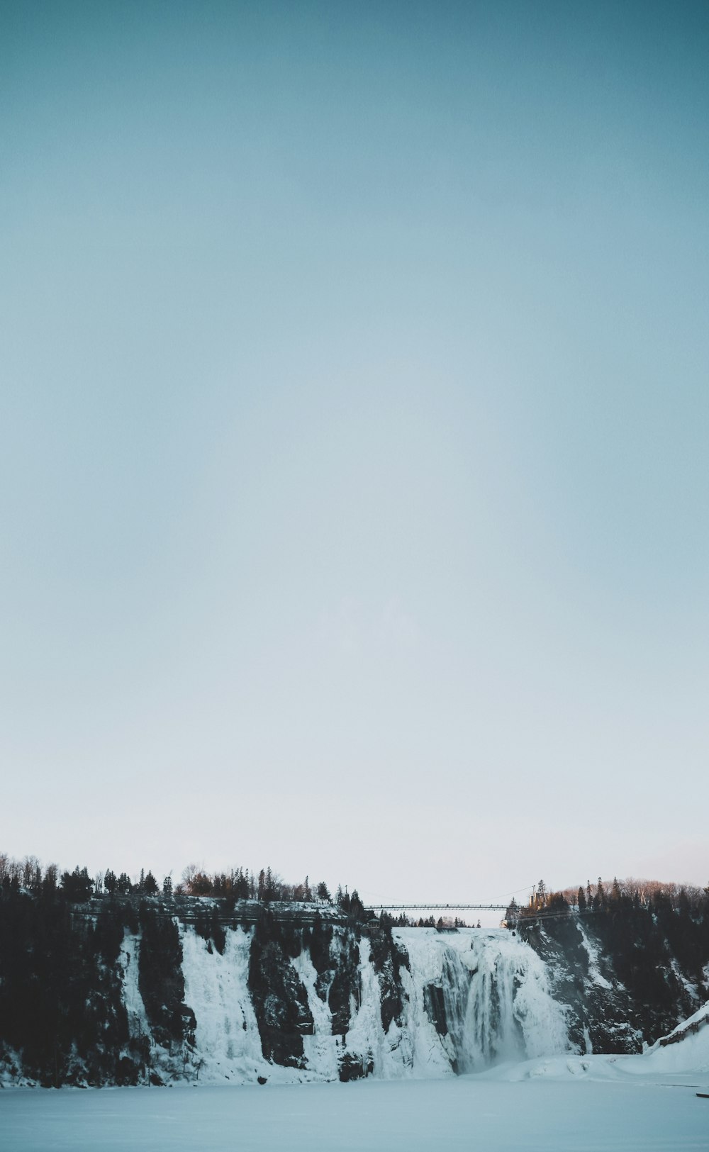 green trees under white sky during daytime