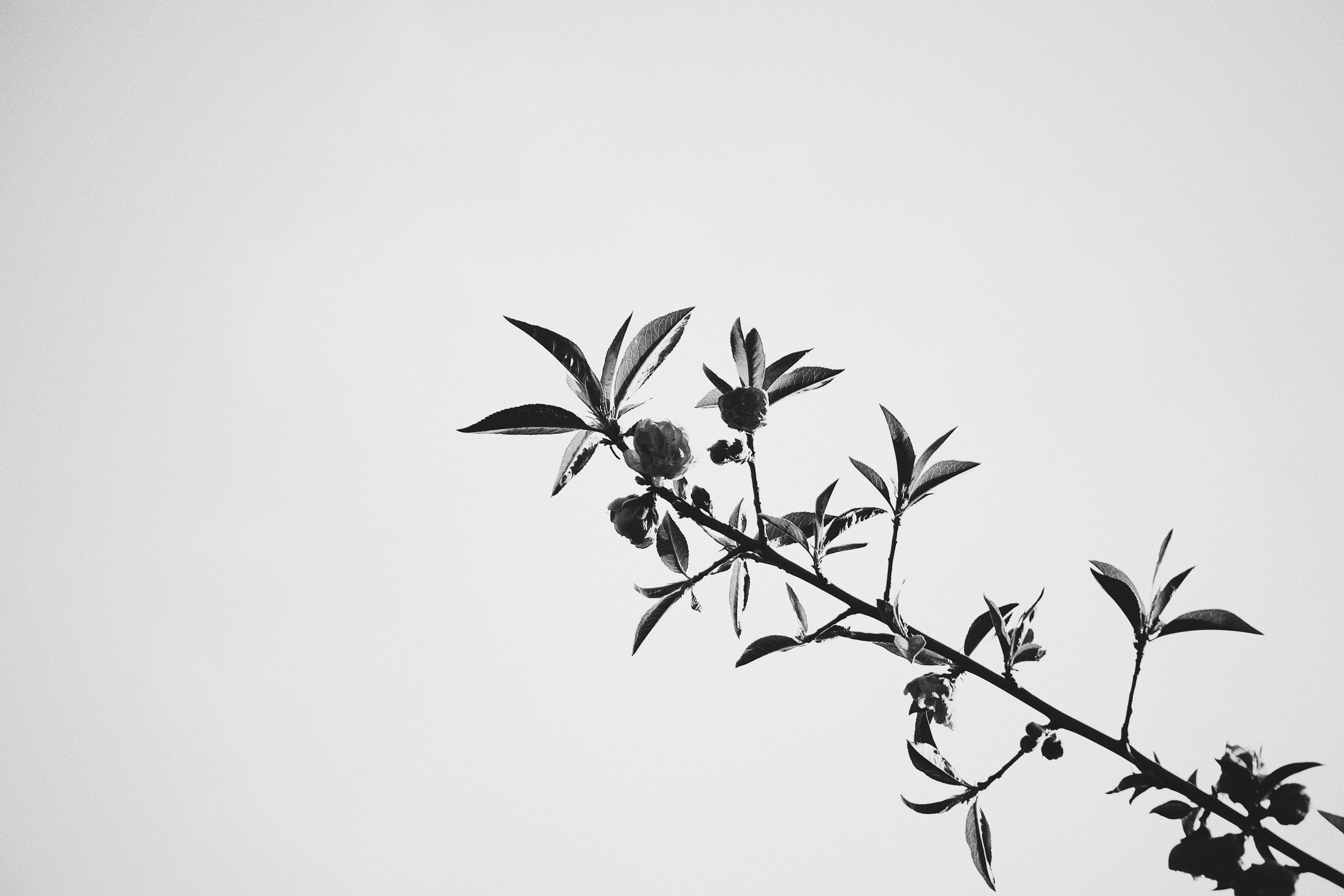 Photo by jizhidexiaohailang