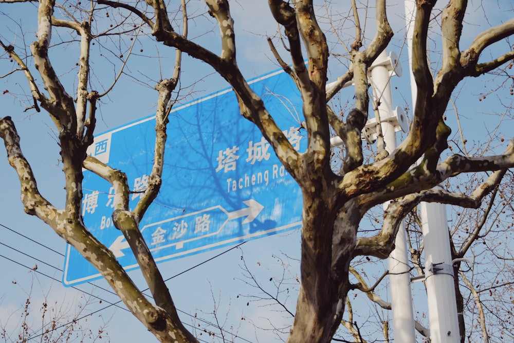 Señalización azul y blanca en el árbol marrón