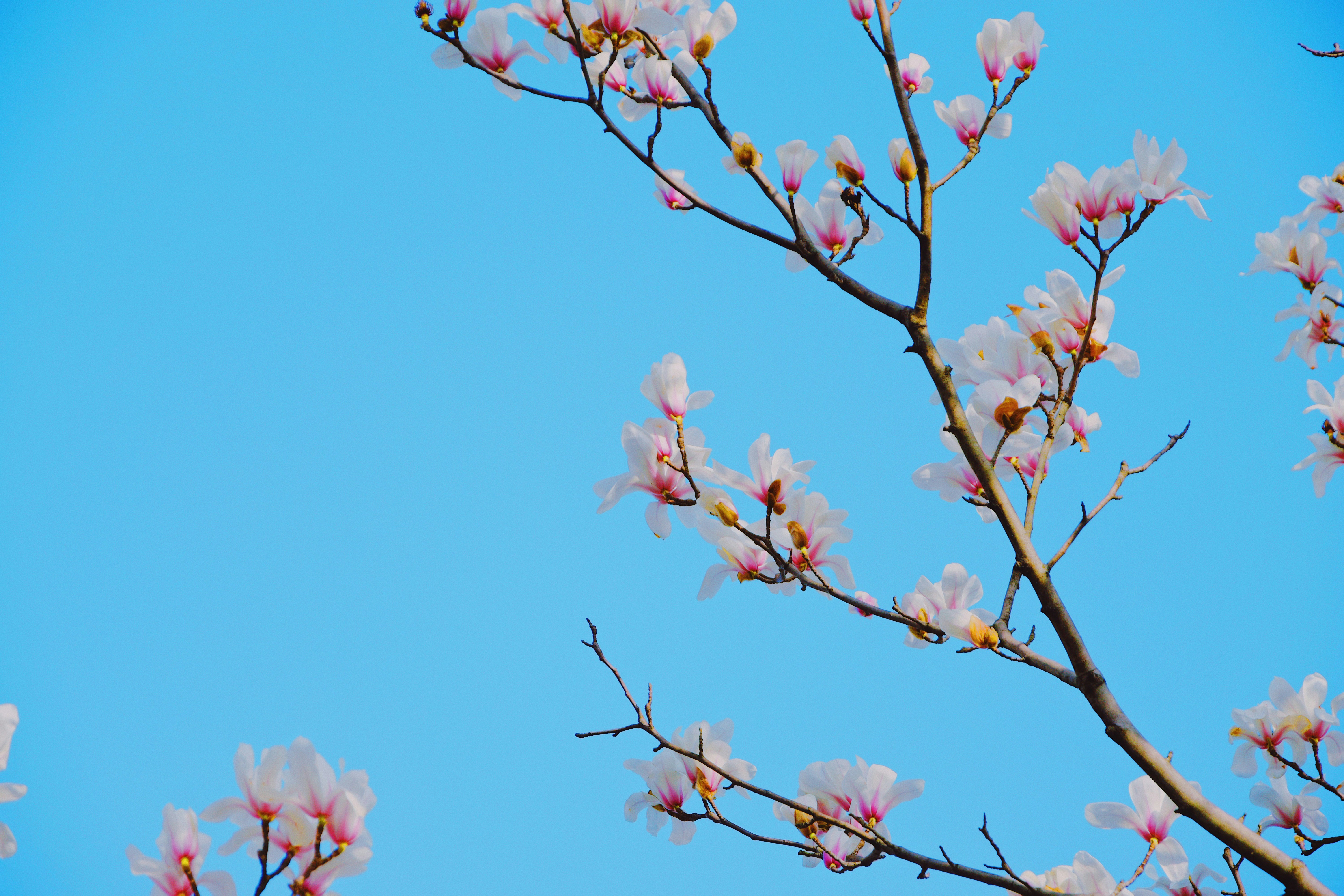 Photo by jizhidexiaohailang