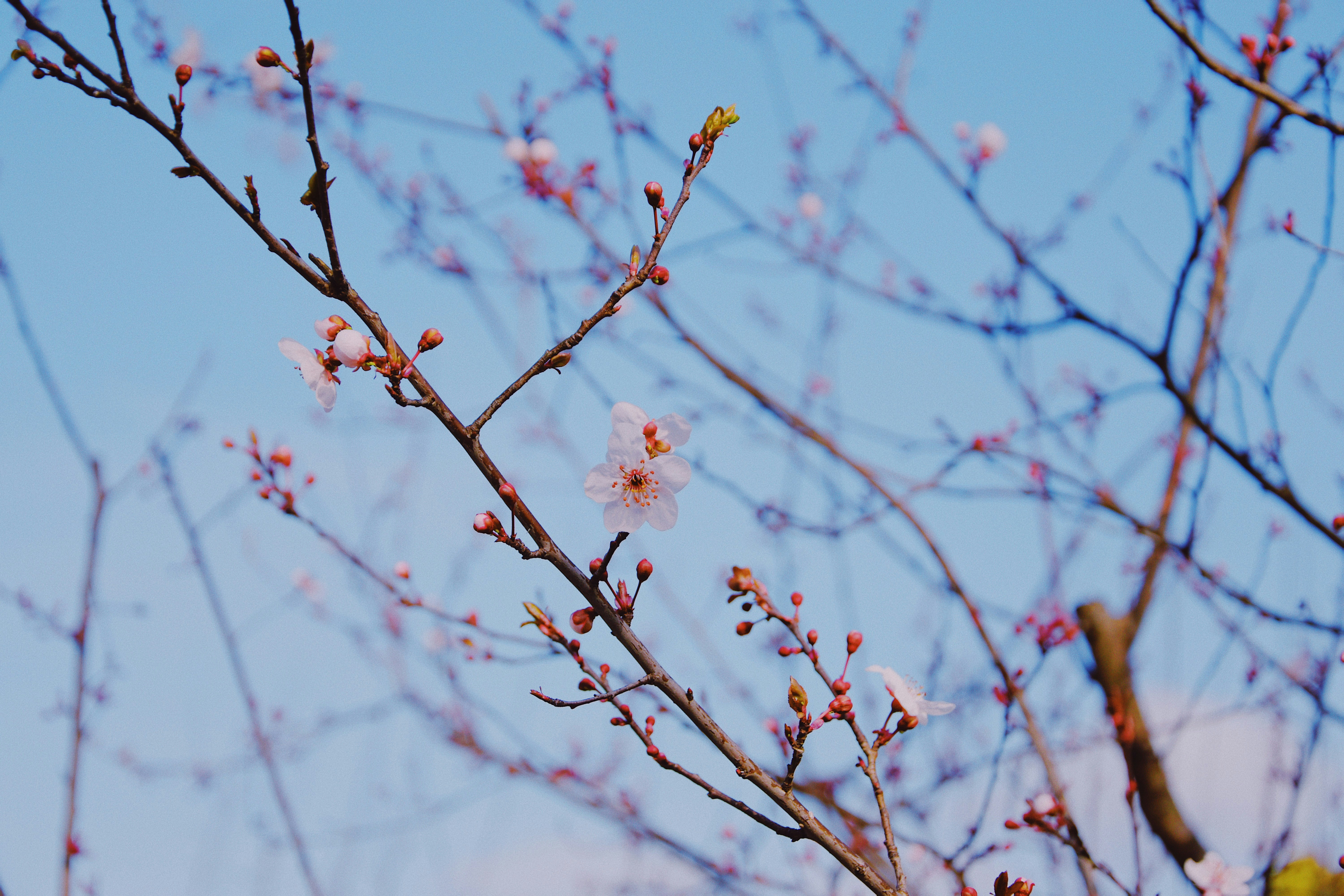 Photo by jizhidexiaohailang