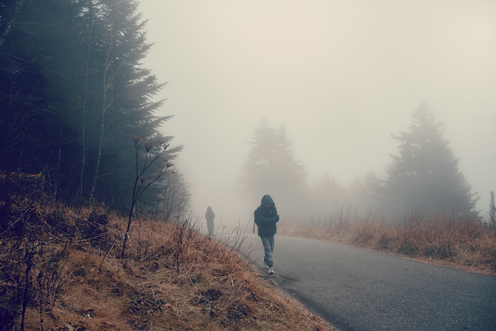 a person walking down a road in the fog