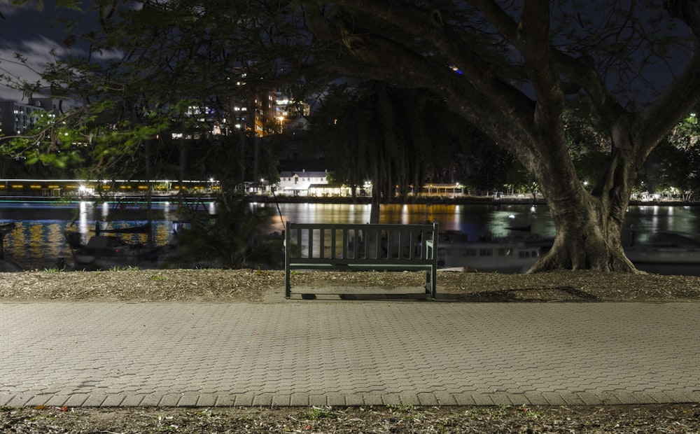 green trees near body of water during night time