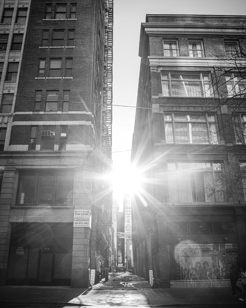 grayscale photo of city buildings