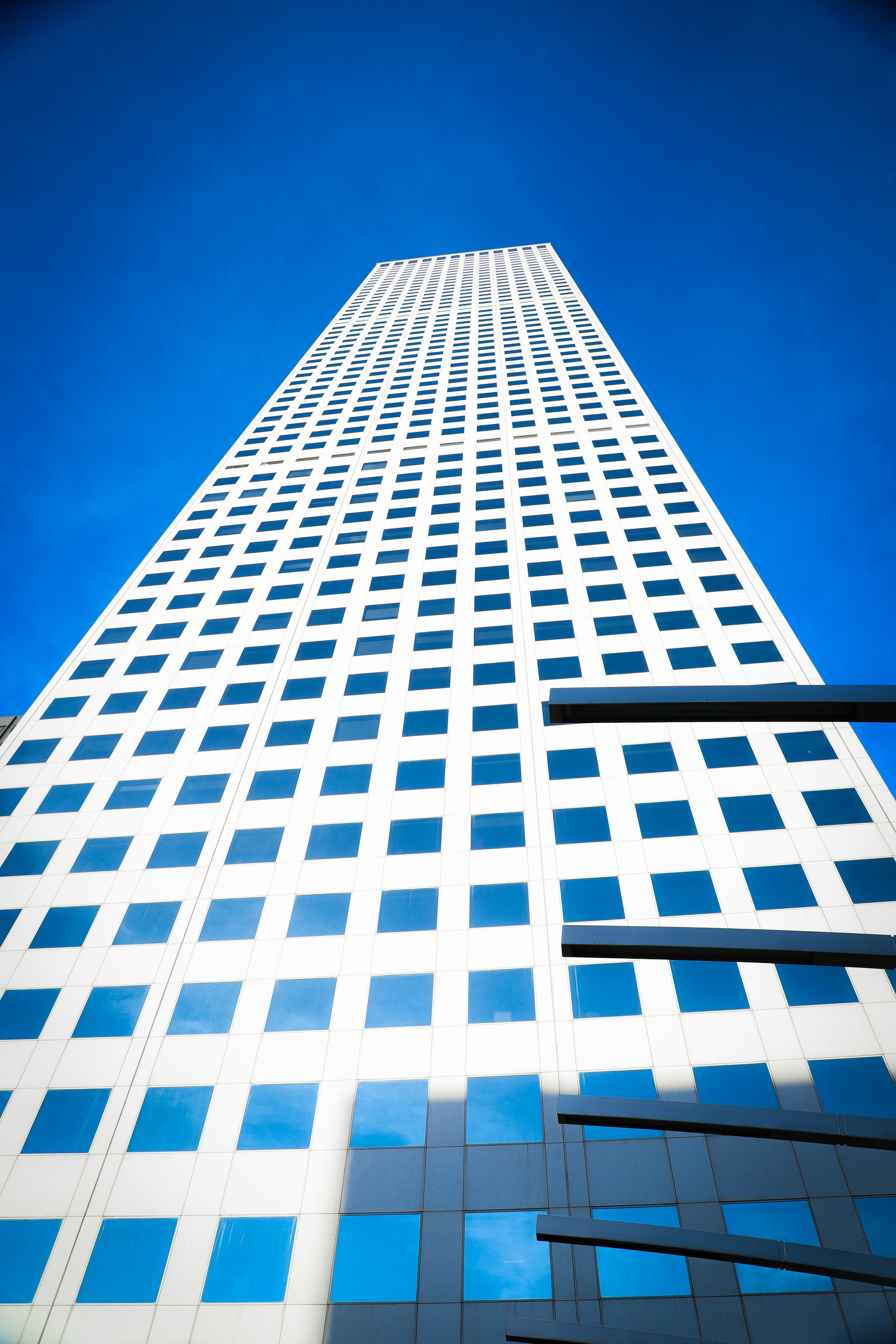 Photo by frankielopez