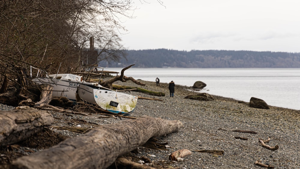 white and blue kayak on brown sand near body of water during daytime