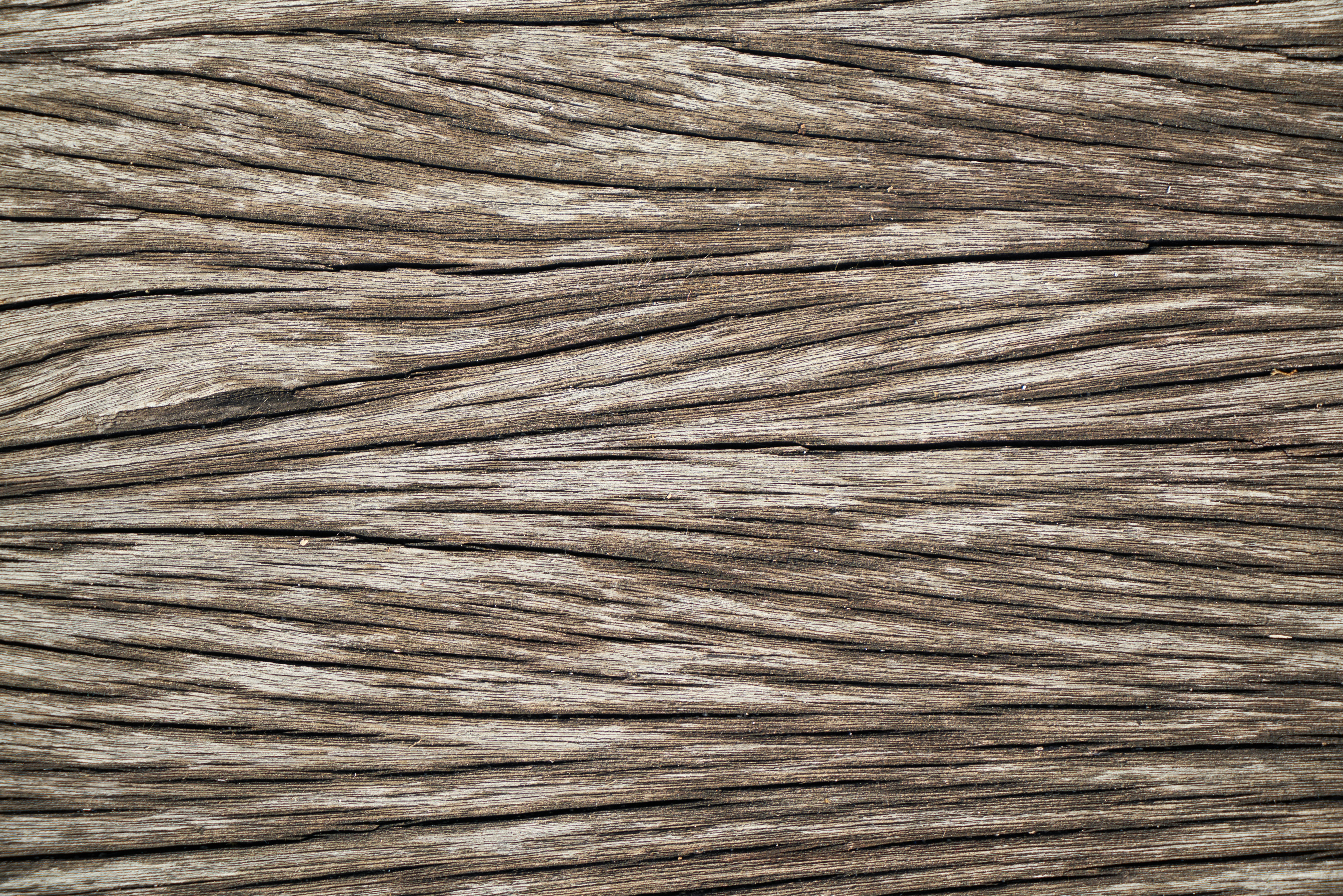 Photo by enginakyurt