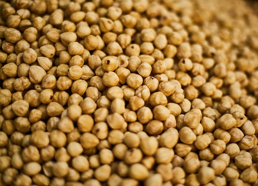 brown and black beans in close up photography