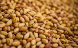 Authentic Turkish Pistachios for wholesale and export markets