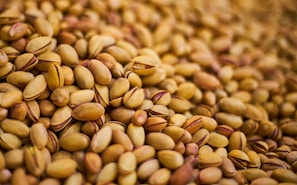 Authentic Turkish Pistachios for wholesale and export markets