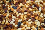 A close-up view of a mixture of nuts and dried fruits. The image includes almonds, walnuts, raisins, cashews, and various other seeds and nuts, with a rich, varied texture.