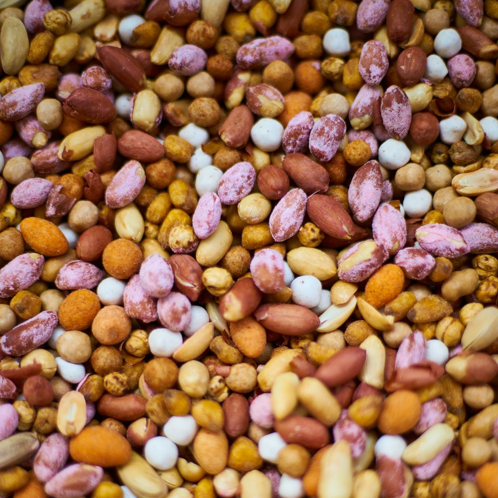 brown and beige round beans