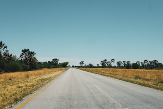 A peaceful Kansas countryside road stretching into the horizon.