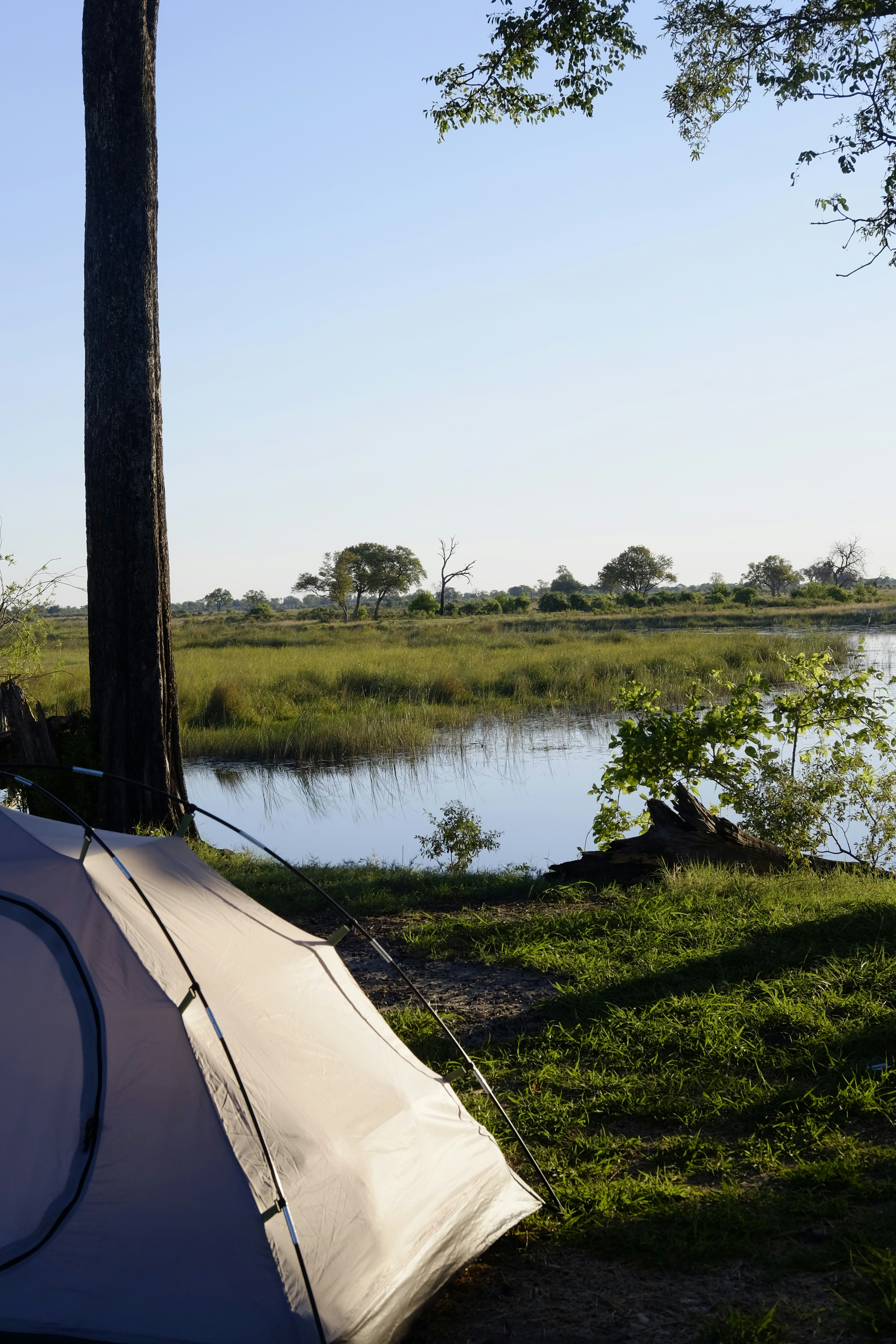 Ultimate Comfort Camping Gear