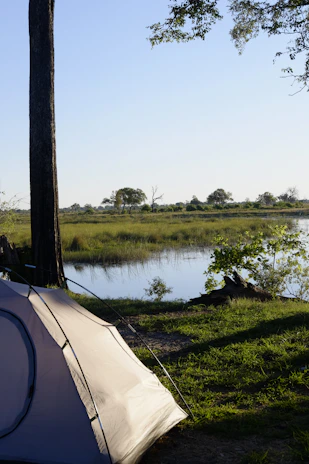 A peaceful riverside campsite with tents pitched near calm flowing water.
