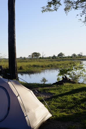 A tranquil campsite by a river with a tent set up under a tree. The background features a serene view of the river surrounded by lush green grass and scattered trees. The sunlight casts gentle shadows, creating a peaceful atmosphere.