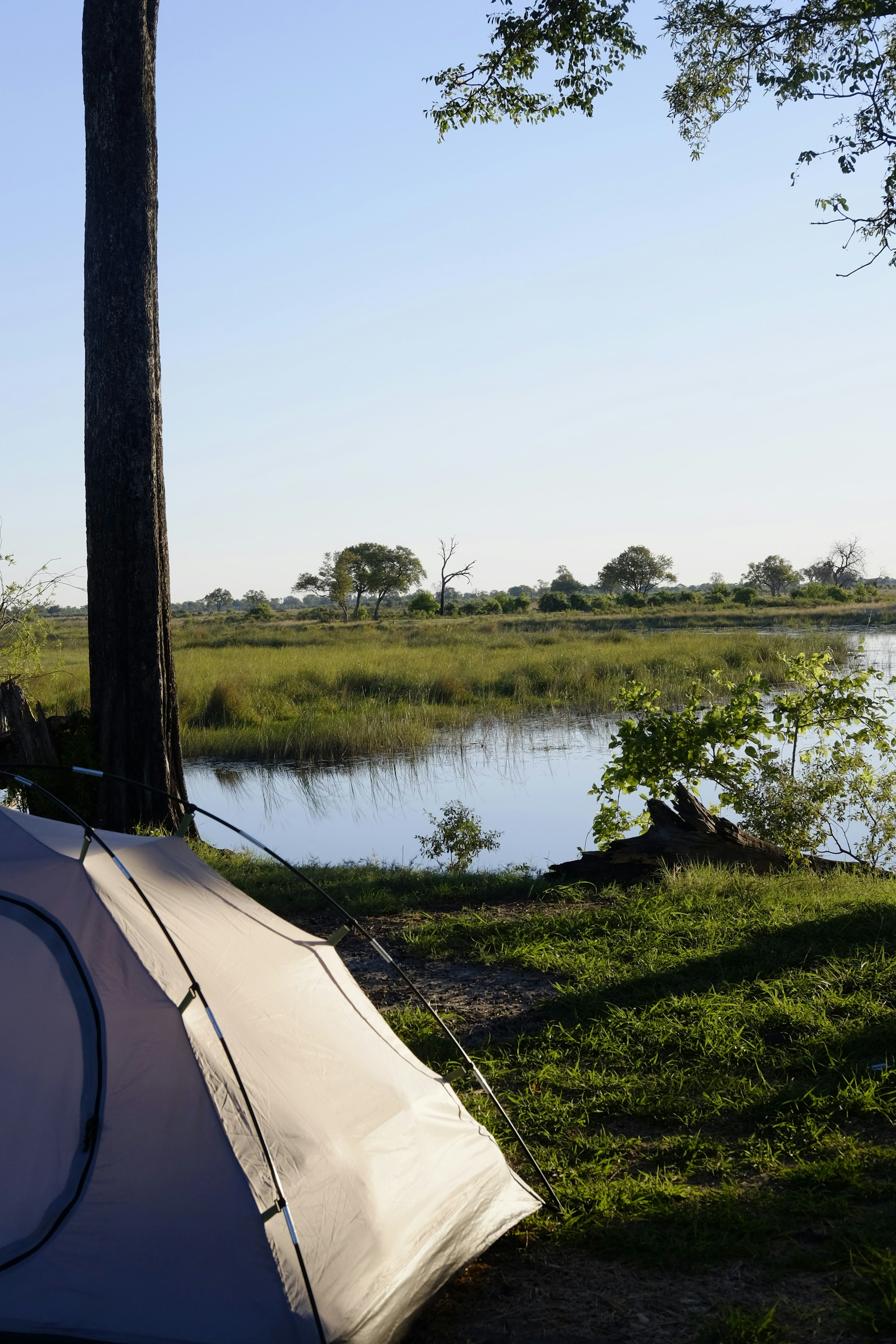 woman wearing yellow long-sleeved dress under white clouds and blue sky during daytime