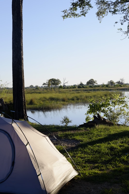 A tranquil campsite by a river with a tent set up under a tree. The background features a serene view of the river surrounded by lush green grass and scattered trees. The sunlight casts gentle shadows, creating a peaceful atmosphere.