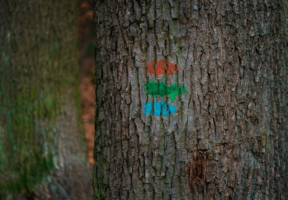 green moss on brown tree trunk