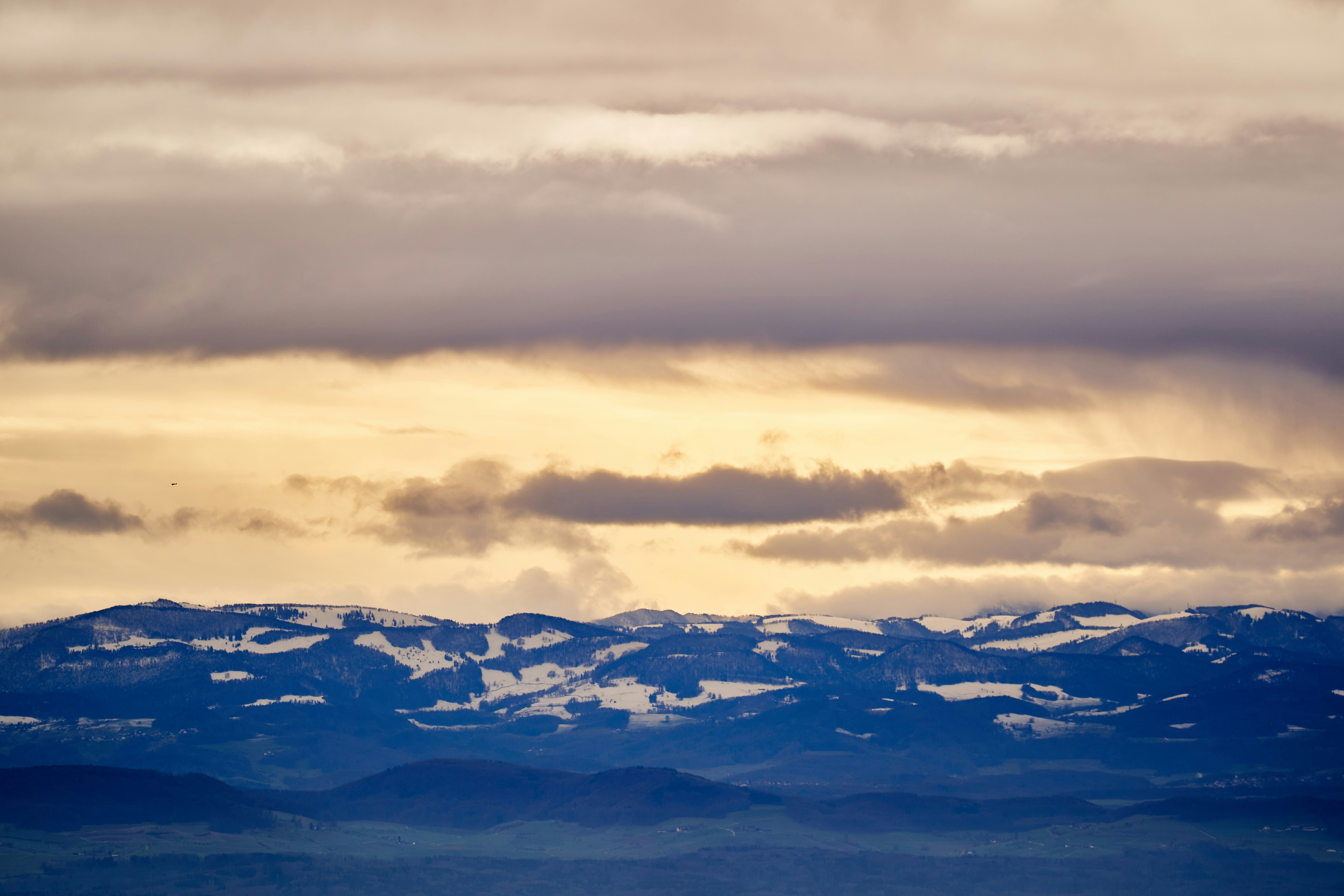 Photo by wolfgang_hasselmann