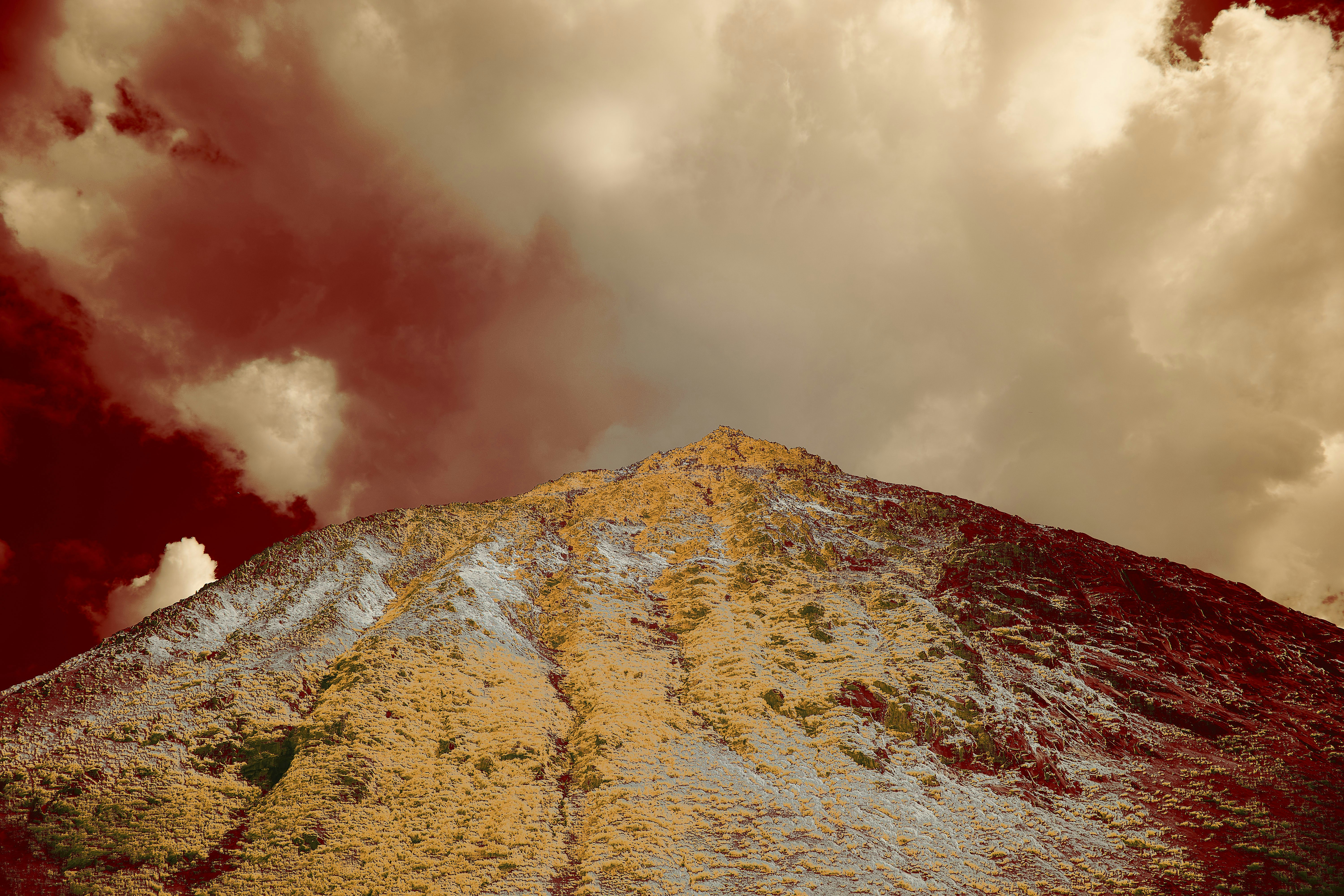 Photo by wolfgang_hasselmann